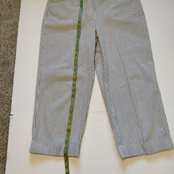 Plus Size Liz Claiborne / Audra Capris - Picture 6 of 6